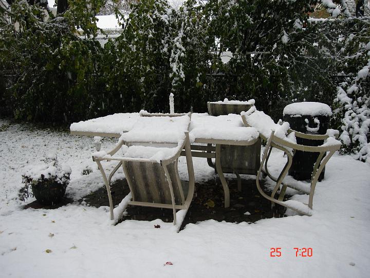 NJ_NY 219.JPG